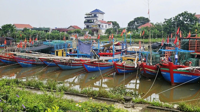 Tàu thuyền neo đậu trong âu tránh trú bão cửa sông Lý, tỉnh Thanh Hóa. 2-phuong-tien.jpg