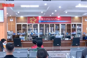 [Video] Trường hợp nào dừng hưởng trợ cấp thất nghiệp theo quy định mới?