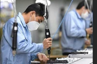 Gần 50% lao động Việt Nam ở nước ngoài đang làm việc tại Nhật Bản