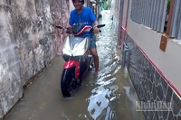 Nước ngập len lỏi vào tận các ngõ hẻm phường Bạc Liêu, tỉnh Cà Mau, gây xáo trộn cuộc sống của người dân.