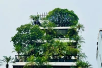 "Xanh hóa" công trình là xu hướng chủ đạo hiện nay. (Ảnh: HNV)