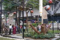 Những mảnh xác máy bay và vỏ bom được sắp đặt thành không gian nghệ thuật.