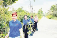 Đoàn viên thanh niên hưởng ứng Tết trồng cây.