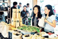 Lâm Đồng giới thiệu các loại cà phê tại hội chợ hàng nông sản. Ảnh: Hải Nam