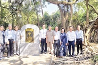 Ba cây gừa tại xã Mỹ Chánh Hòa (tỉnh Vĩnh Long) được công nhận là cây di sản. 