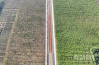 Đường Vành đai 1 Long Khánh được thông xe kỹ thuật sau hơn 1 năm thi công.