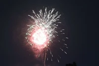 Tỉnh Đồng Nai sẽ tổ chức 10 bắn pháo hoa trong đêm giao thừa Tết Nguyên đán Bính Ngọ 2026.