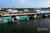 Với chính sách mới vừa ban hành, ngư dân Cà Mau được hỗ trợ 100% chi phí cước thuê bao hằng tháng trên thiết bị VMS đến hết năm 2028.