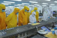 Lãnh đạo tỉnh Cà Mau mặc bảo hộ lao động (màu vàng) tham quan dây chuyền sản xuất, chế biến tại nhà xưởng của Tập đoàn Camimex vào sáng 26/2.