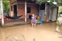Xung quanh căn nhà bà Nguyễn Thị Hoa ở xã An Bình, tỉnh Vĩnh Long bị ngập do triều cường.