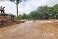 Đoạn sạt lở đê bao cồn Thanh Long sáng nay.