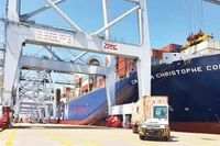 Bốc dỡ hàng hóa tại cảng Cái Mép-Thị Vải, phường Tân Thành, Thành phố Hồ Chí Minh. (Ảnh THẾ ANH)