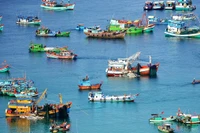 Doanh nghiệp thủy sản đồng hành cùng Chính phủ giữ vững uy tín và thị trường xuất khẩu.