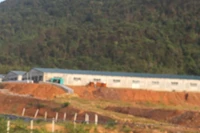 Trang trại nuôi lợn của Công ty Bình Chi Nam Hưng hoạt động khi chưa được cấp giấy phép môi trường.