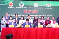 Lãnh đạo tỉnh Quảng Trị và các đơn vị liên quan ký kết hợp tác giai đoạn 2026-2030 phát triển nông nghiệp hữu cơ, tuần hoàn