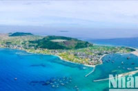 Đảo Lý Sơn, vùng đất tinh hoa di sản lễ hội và địa chất.