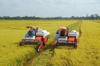 Cơ giới hoá đồng bộ trong sản xuất lúa tại huyện Yên Khánh. (Ảnh: Yến Trinh)