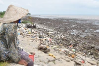 Nhiều khu vực ở đê biển Gò Công (tỉnh Đồng Tháp) bị sạt lở và cần đầu tư khẩn cấp.