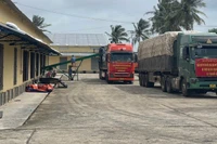 Xe vận chuyển gạo dự trữ quốc gia của Chi cục Dự trữ Nhà nước khu vực XII xuất phát hỗ trợ Nhân dân tỉnh Đắk Lắk bị thiệt hại do cơn bão số 13. (Ảnh: Cục Dự trữ) 