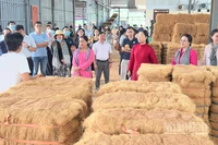 Đoàn khảo sát du lịch đường sông tham quan cơ sở sản xuất chỉ xơ dừa trên sông Thom. 