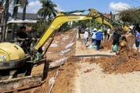 Các lực lượng tham gia hộ đê hữu Cầu. 