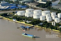 Việt Nam có nhiều tiềm năng về logistics. (Ảnh: HNV)