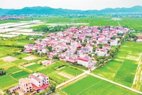 Làng quê Bắc Ninh ngày một “thay da đổi thịt”, trở thành những vùng quê đáng sống.