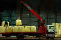 Trong 10 năm qua, Công ty Nhôm Đắk Nông-TKV đã đóng góp ngân sách Nhà nước hơn 4.204 tỷ đồng.