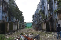 Dự án Nhà ở xã hội sẽ được xây dựng tại vị trí hiện tại của khu đất Khu chung cư Hòa Minh. (Ảnh: ANH ĐÀO)