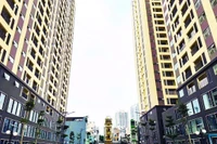 Dự án nhà ở xã hội tại số 324 Lý Thường Kiệt.