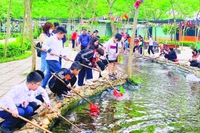 Học sinh tham gia các hoạt động trải nghiệm tại khu sinh thái Phù Đổng Green Park.