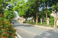 Việc thực hiện chương trình xây dựng nông thôn mới đã tạo nên cảnh quan xanh, sạch ở địa bàn xã Đan Phượng.