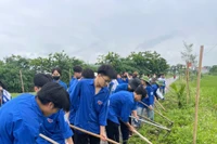 Thanh niên Bắc Giang chung sức vệ sinh môi trường, bảo vệ cảnh quan nông thôn. (Nguồn: Tỉnh đoàn Bắc Giang)