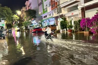 Nhiều tuyến đường trung tâm thành phố Cần Thơ ngập nặng sau cơn mưa.