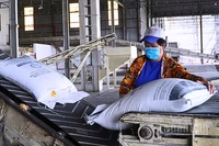 Cần Thơ đặt mục tiêu hằng năm cấp mới hoặc điều chỉnh, bổ sung giấy chứng nhận cho 7-10 doanh nghiệp khoa học và công nghệ.