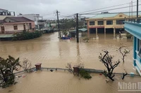 Tính đến sáng 21/11, mưa lớn kéo dài gây sạt lở diện rộng tiếp tục làm gia tăng thiệt hại về người và tài sản.