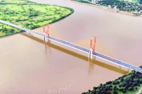 Phối cảnh cầu Ngọc Hồi.