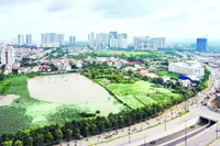 Một khu đất nằm bên đường Mai Chí Thọ thuộc phường Bình Trưng, Thành phố Hồ Chí Minh.