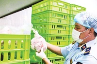 Chi cục Quản lý thị trường thành phố Cần Thơ kiểm tra cơ sở chế biến thực phẩm.