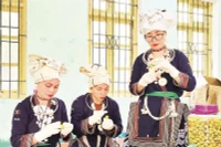 Chế biến trà hoa vàng tại Hợp tác xã nông lâm Nghĩa Tá.