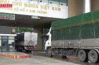 [Video] Khẩn trương hướng dẫn kiểm tra thực phẩm nhập khẩu, không để ách tắc