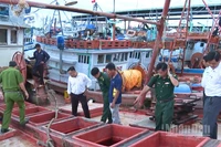 Lực lượng chức năng kiểm tra phương tiện khai thác thủy sản tại Cảng cá Trần Đề.