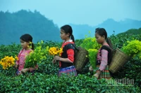 Những em bé người dân tộc ở Mộc Châu là những sứ giả truyền tải nét văn hóa đặc sắc của đồng bào mình đến với du khách. (Ảnh: THẾ DƯƠNG)