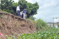 Đoạn sạt lở ăn sâu vào đường đan ở ấp Vàm Lịch, xã Cái Nhum. 