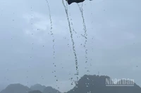 Lào Cai và Tuyên Quang có mưa rào, có nơi trên 80mm. (Ảnh minh họa: Đ.T)