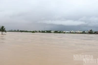 Lũ lớn khiến nhiều vùng ở Quảng Ngãi bị ngập sâu.