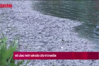 [Video] Hồ lắng Thủy Sơn kêu cứu vì ô nhiễm