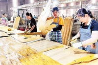 Sản xuất tại Công ty TNHH Lechenwood Việt Nam trong Khu công nghiệp Thanh Bình.