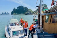 Các lực lượng kiểm tra, vận động nhân dân chèo chống tàu thuyền phòng chống bão số 9. Ảnh: Bộ đội Biên phòng tỉnh Quảng Ninh