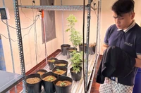 Đỗ Hữu Duy tại khu vực ươm trồng cây cần sa. (Ảnh: Công an cung cấp)